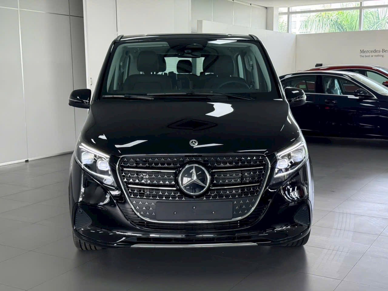 Phần đầu xe V300 Avantgarde